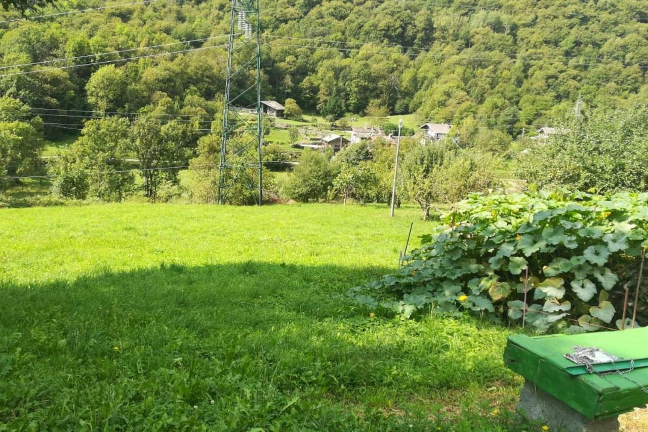 Bilocale A Due Passi Dal Gran Paradiso Locana 외부 사진